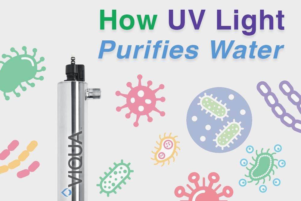How UV Light Purifies Water Aqualistic Water Products